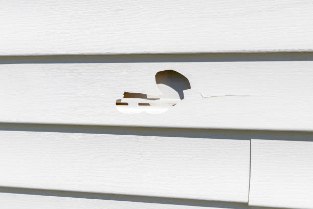 Reliable Winona, MS Siding Installation Solutions